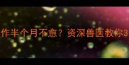 幼犬感冒反复发作半个月不愈资深兽医教你3步快速康复指南