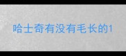 哈士奇有没有毛长的