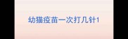 幼猫疫苗一次打几针