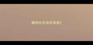 猫咪吐毛球后食欲