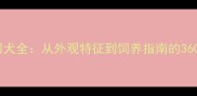 金毛寻回犬全从外观特征到饲养指南的360认知