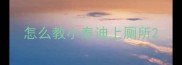 怎么教小泰迪上厕所