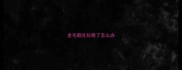 金毛呕吐拉稀了怎么办