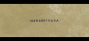 哈士奇长到8个月长多大