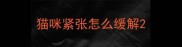 猫咪紧张怎么缓解