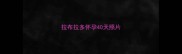 拉布拉多怀孕40天照片
