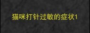 猫咪打针过敏的症状