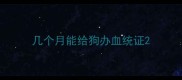 几个月能给狗办血统证