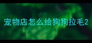 宠物店怎么给狗狗拉毛