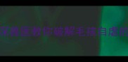 狗狗疯狂舔毛怎么办资深兽医教你破解毛孩自虐的三大元凶及科学应对方案