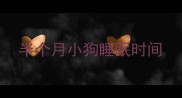 半个月小狗睡眠时间