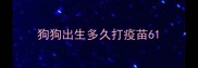 狗狗出生多久打疫苗6