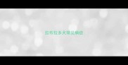 拉布拉多犬常见病症