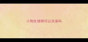 小狗生理期可以洗澡吗