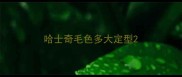 哈士奇毛色多大定型