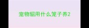 宠物貂用什么笼子养