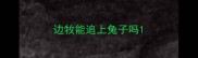 边牧能追上兔子吗