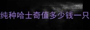 纯种哈士奇值多少钱一只