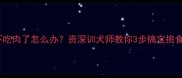 泰迪不吃肉了怎么办资深训犬师教你3步搞定挑食泰迪