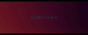 金丝熊3个月多大
