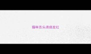 猫咪舌头溃疡发红