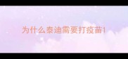 为什么泰迪需要打疫苗