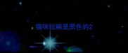 猫咪拉稀是黑色的