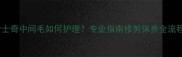 哈士奇中间毛如何护理专业指南修剪保养全流程