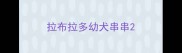 拉布拉多幼犬串串