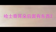 哈士奇耳朵后面有东西