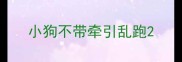 小狗不带牵引乱跑
