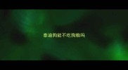 泰迪狗能不吃狗粮吗