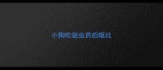 小狗吃驱虫药后呕吐