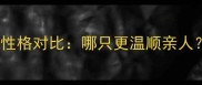 灰泰迪vs红泰迪性格对比哪只更温顺亲人附饲养全攻略