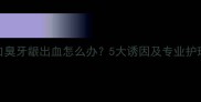 猫咪口臭牙龈出血怎么办5大诱因及专业护理指南