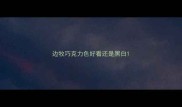 边牧巧克力色好看还是黑白