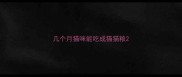 几个月猫咪能吃成猫猫粮