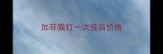 加菲猫打一次疫苗价格