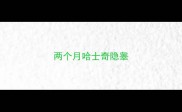 两个月哈士奇隐睾