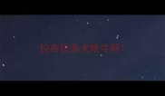 拉布拉多犬吃牛肝