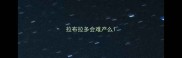 拉布拉多会难产么