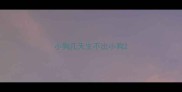 小狗几天生不出小狗
