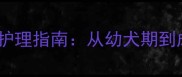 雪纳瑞最佳造型时间及护理指南从幼犬期到成犬的全周期造型方案