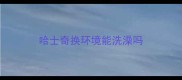 哈士奇换环境能洗澡吗