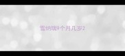 雪纳瑞9个月几岁