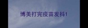 博美打完疫苗发抖