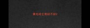黄毛哈士奇好不好