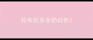 拉布拉多全奶白色
