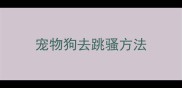 宠物狗去跳骚方法