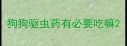 狗狗驱虫药有必要吃嘛